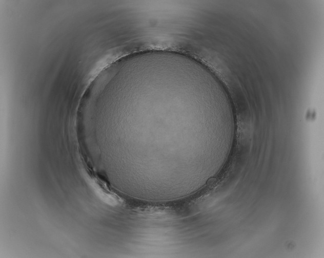 X0000089940626200707271819