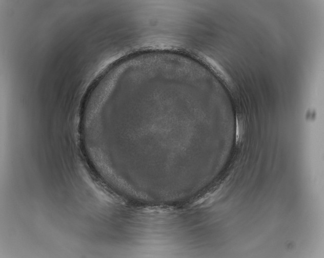 X0000089940627200707271819