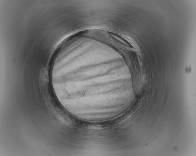 X0000089940628200707271819