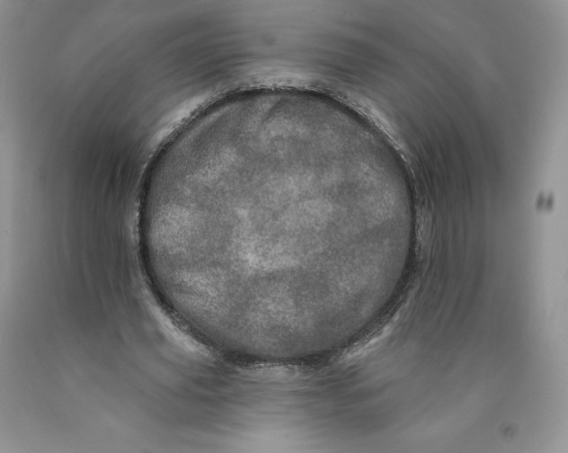 X0000089940629200707271819