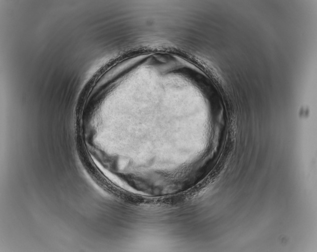 X0000089940630200707271819