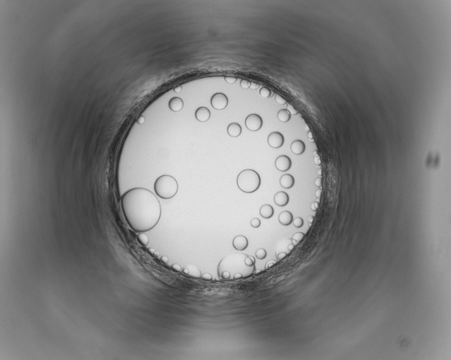 X0000089940631200707271819