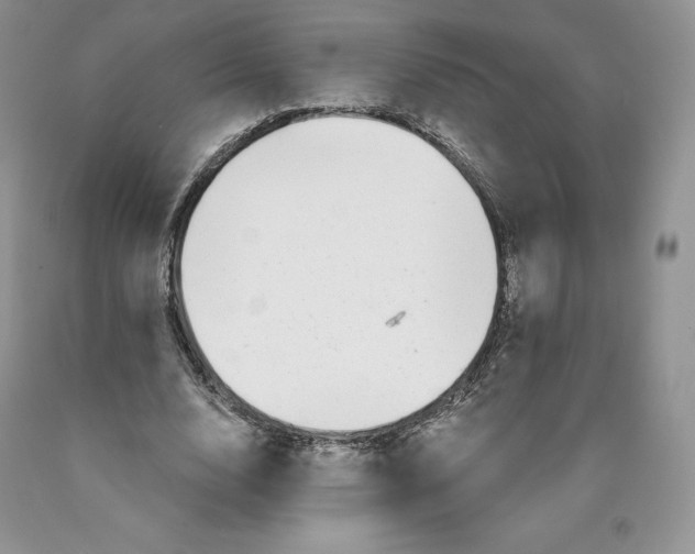 X0000089940632200707271819