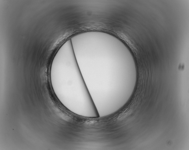 X0000089940634200707271819