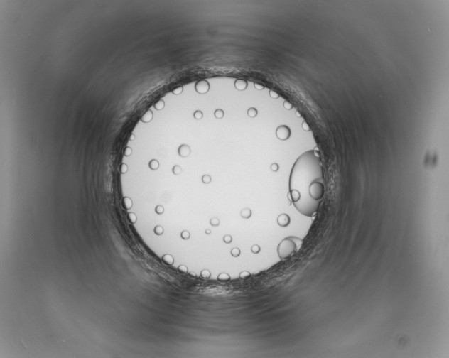 X0000089940635200707271819