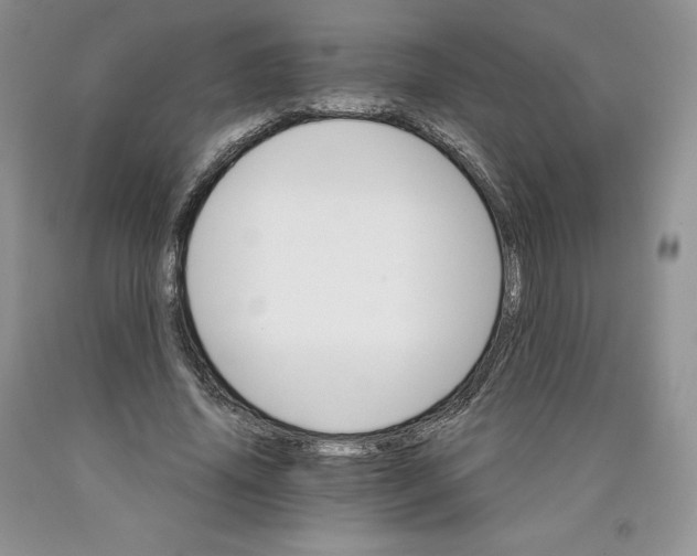 X0000089940636200707271819
