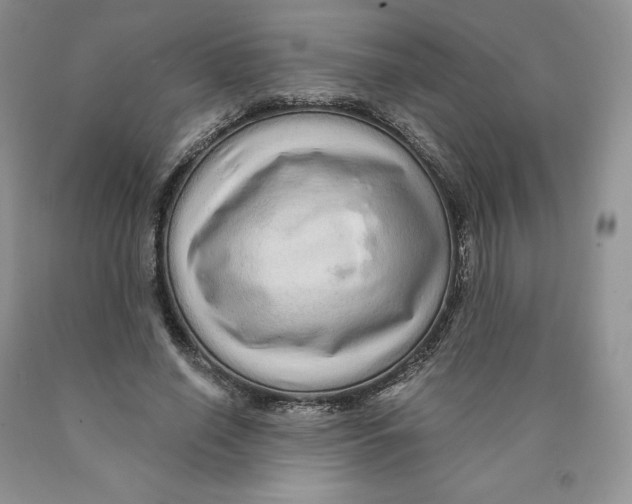 X0000089940638200707271819