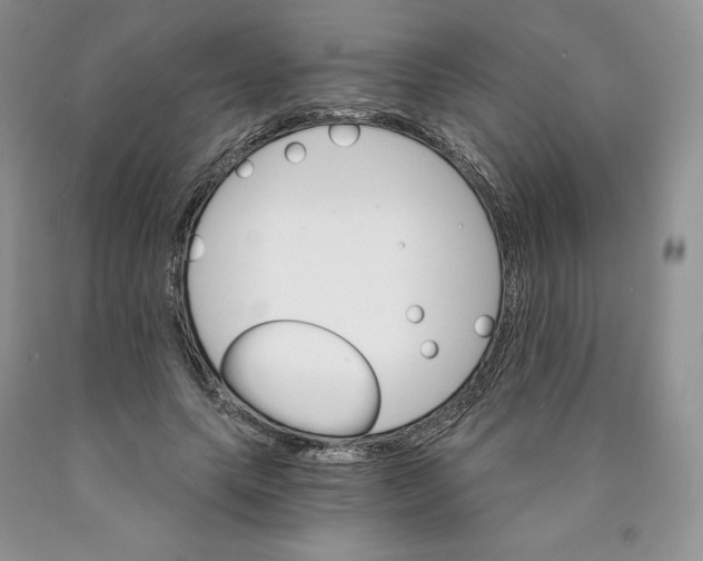 X0000089940639200707271819