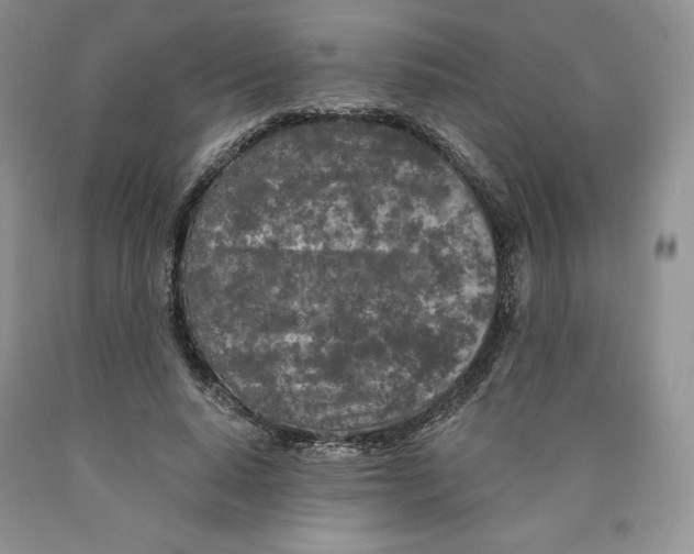 X0000089940640200707271819