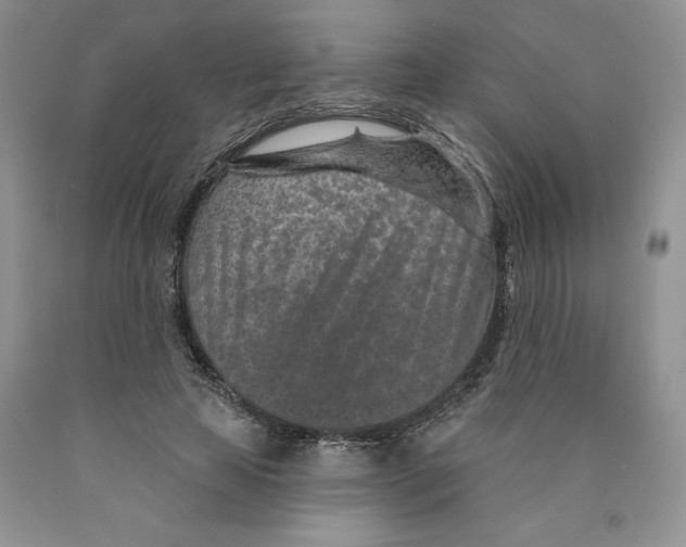 X0000089940641200707271819