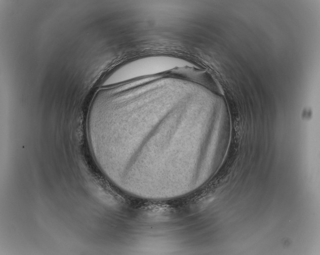 X0000089940642200707271819