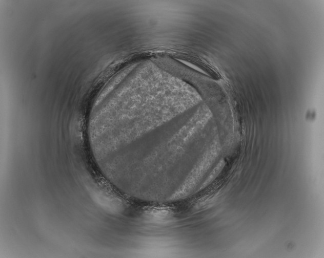 X0000089940643200707271819