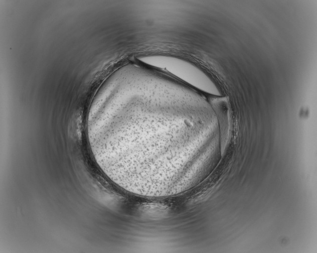 X0000089940644200707271819