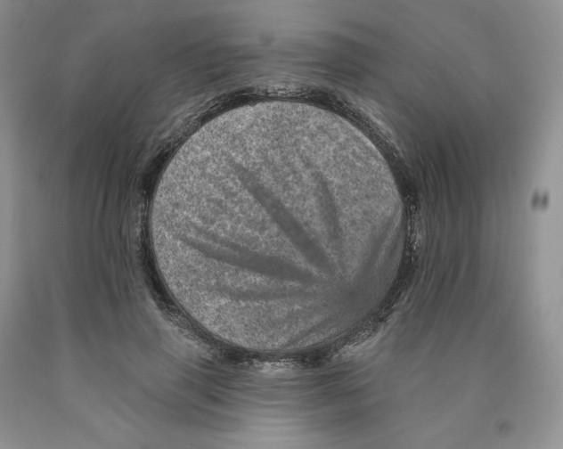 X0000089940645200707271819