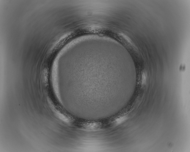 X0000089940646200707271819