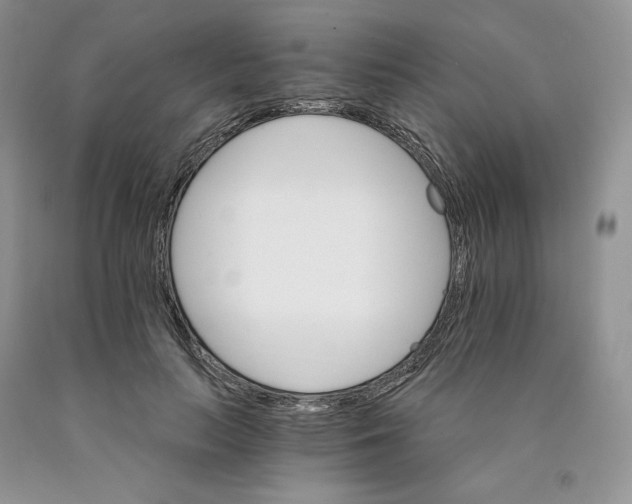 X0000089940647200707271819