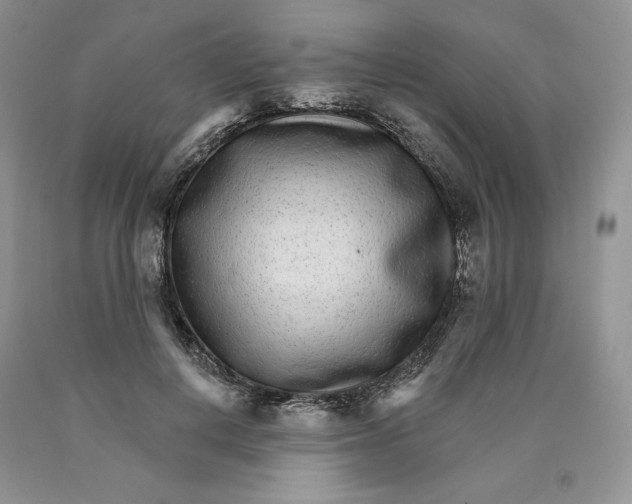 X0000089940648200707271819