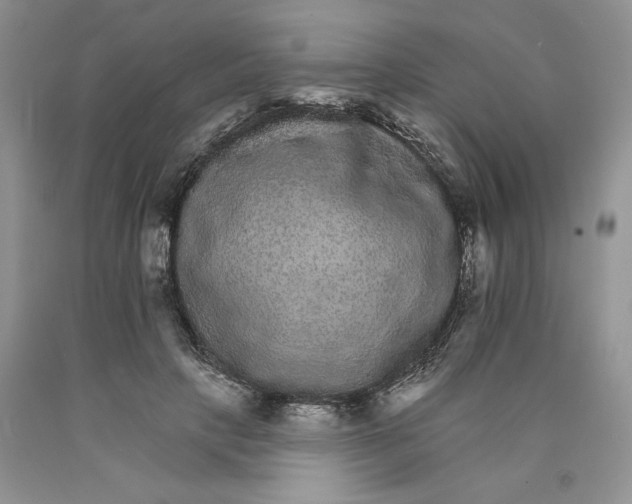 X0000089940649200707271819
