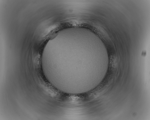 X0000089940650200707271819