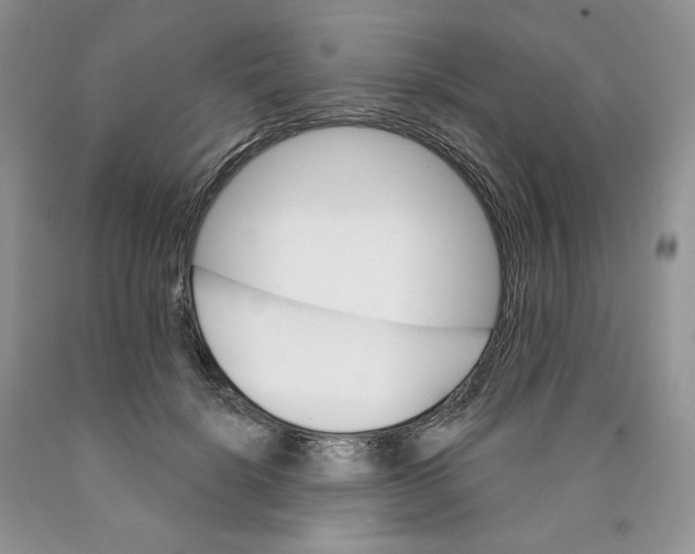 X0000089940652200707271819