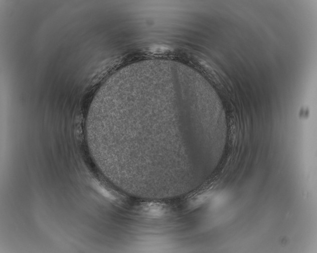 X0000089940654200707271819