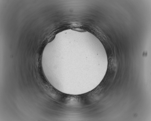 X0000089940655200707271819