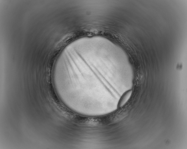 X0000089940656200707271819