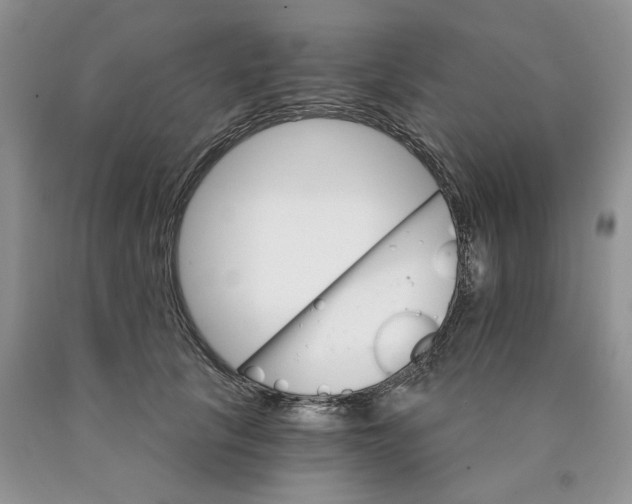 X0000089940657200707271819