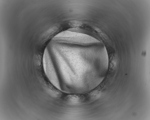 X0000089940658200707271819