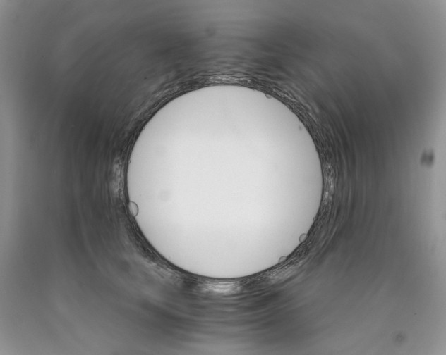 X0000089940659200707271819
