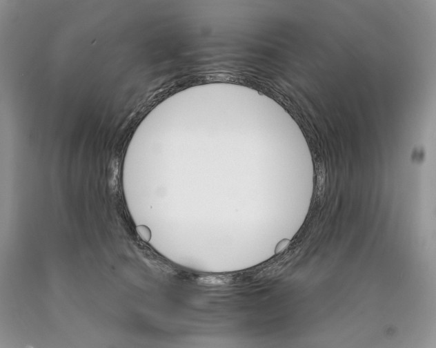 X0000089940660200707271819