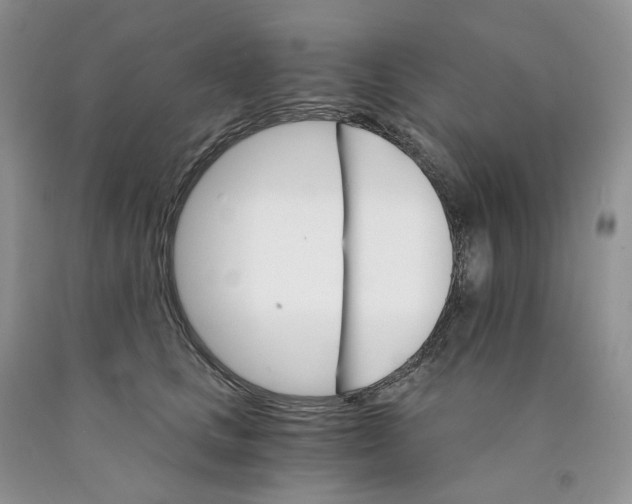 X0000089940661200707271819