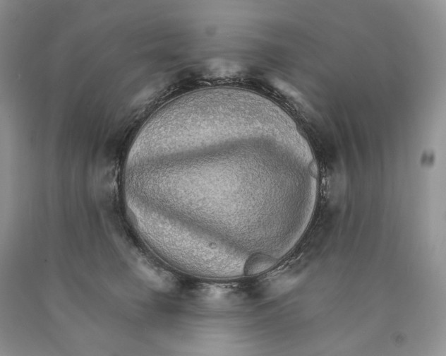 X0000089940662200707271819