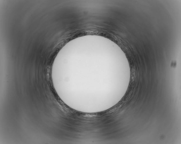 X0000089940664200707271819