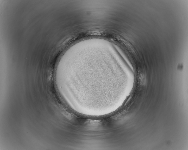 X0000089940665200707271819