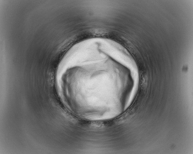 X0000089940666200707271819