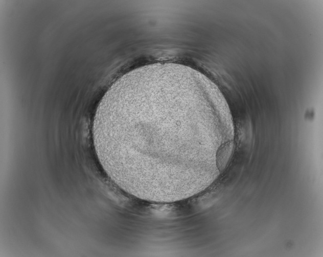 X0000089940667200707271819