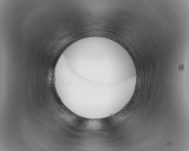 X0000089940668200707271819