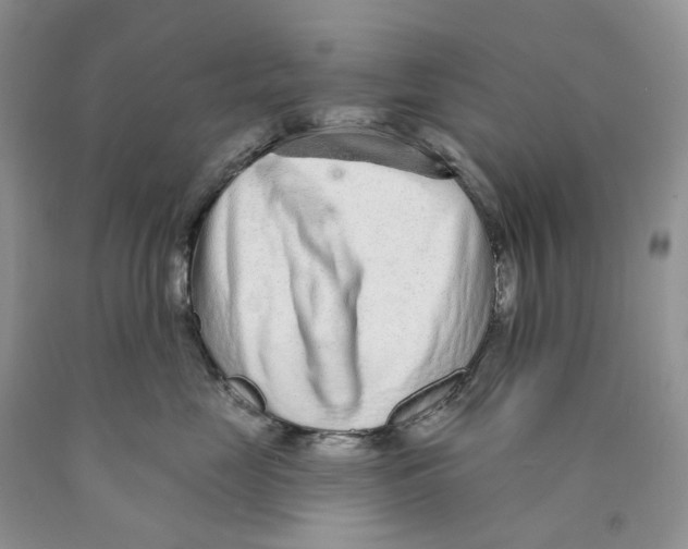 X0000089940669200707271819