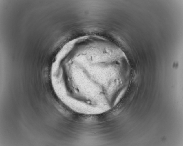 X0000089940670200707271819