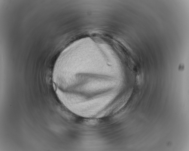 X0000089940671200707271819