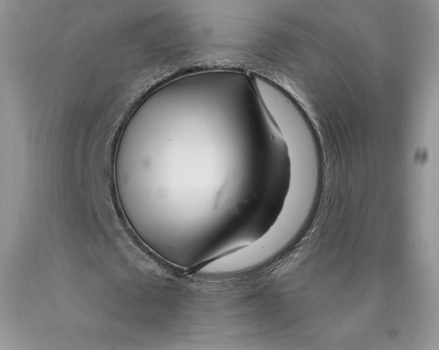 X0000089940673200707271819
