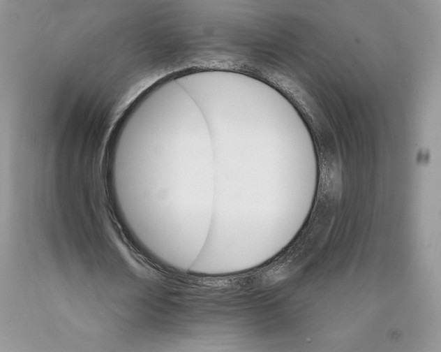 X0000089940674200707271819