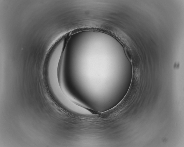 X0000089940676200707271819