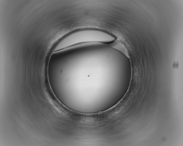 X0000089940677200707271819