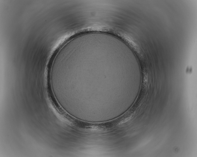 X0000089940678200707271819