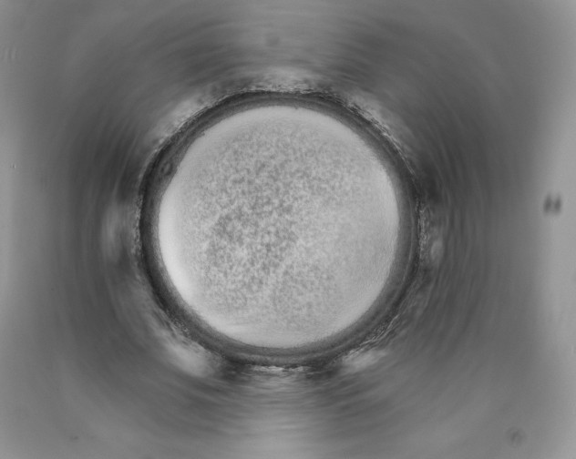 X0000089940679200707271819