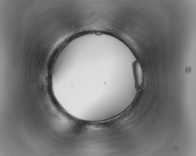 X0000089940680200707271819