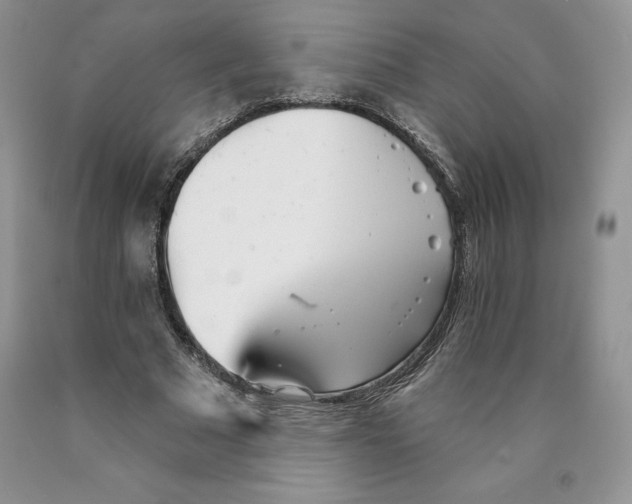 X0000089940681200707271819