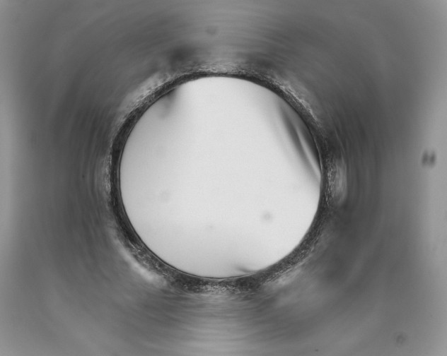 X0000089940682200707271819